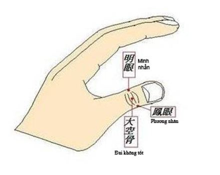 dayhuyet01