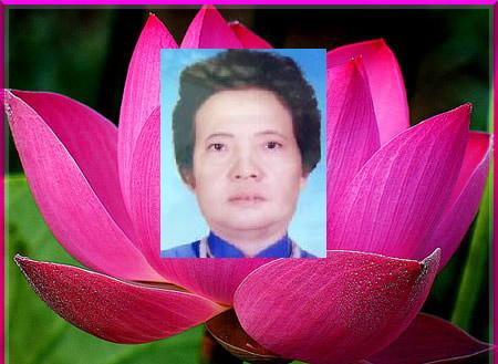 hoasen medangthikimlieng
